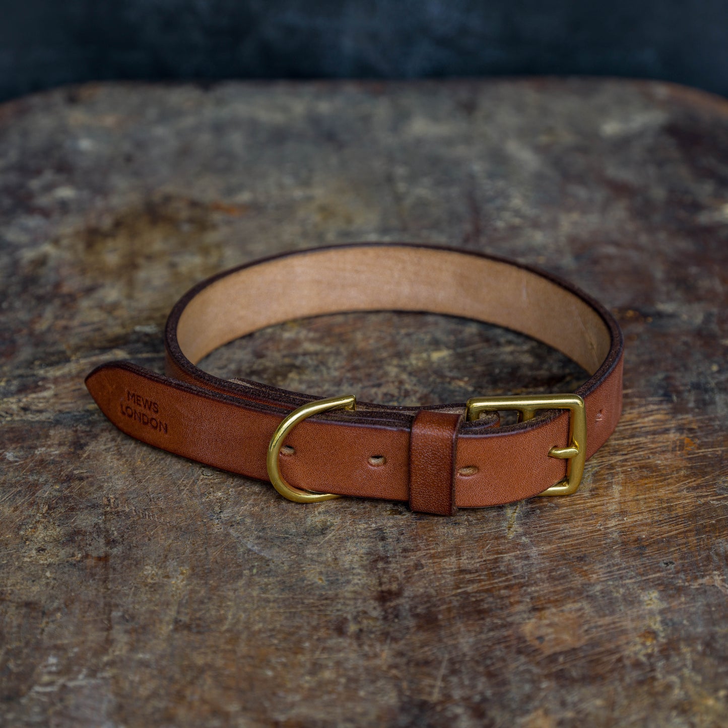 Small Dog Collar