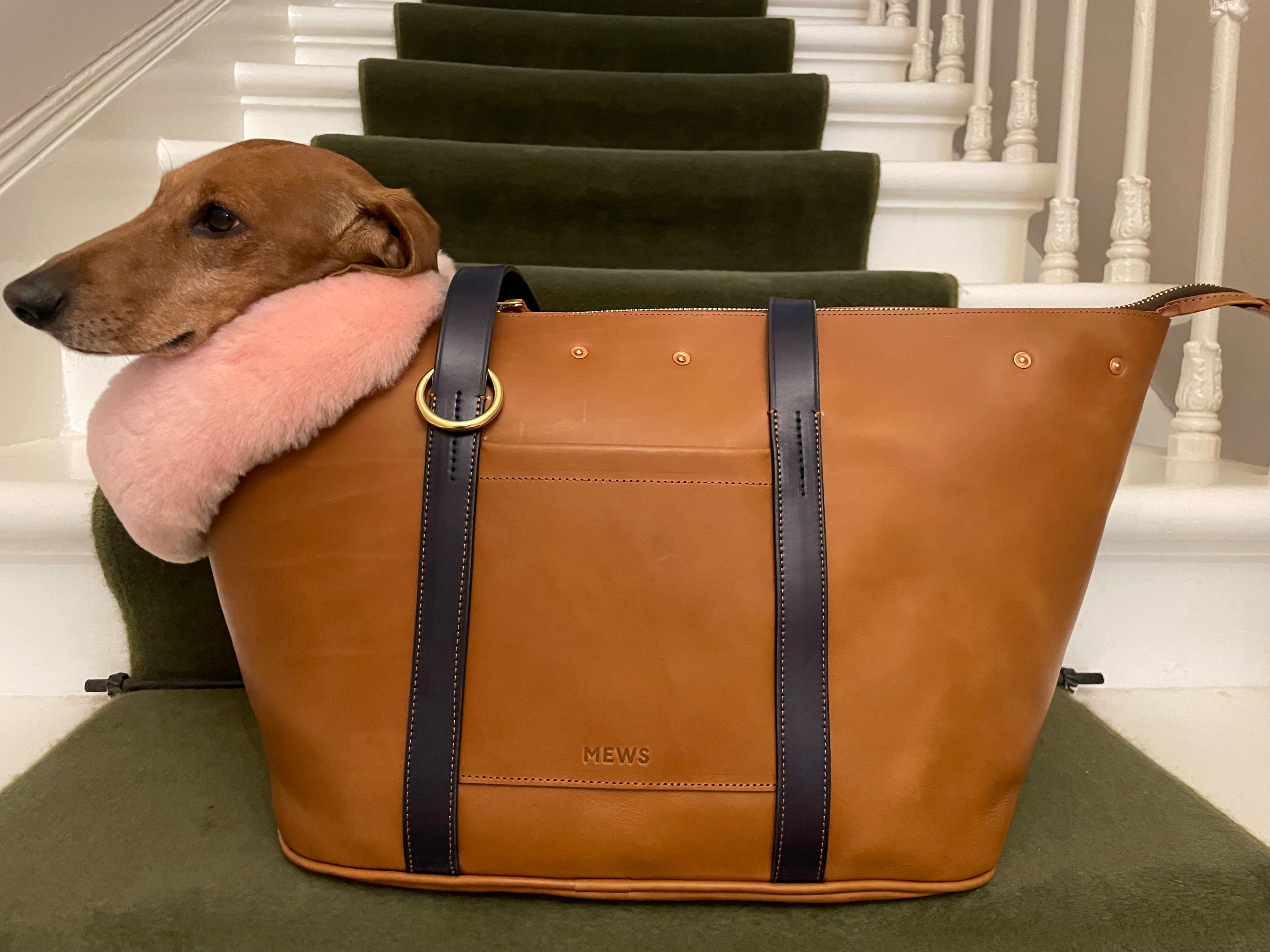 Leather sales dog purse